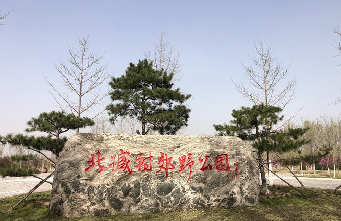 北臧村镇郊野公园