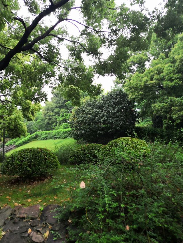 花博会主题公园旅行图片 3