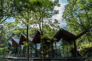 六月初夏，去宁波赴一场山林里的野奢之旅