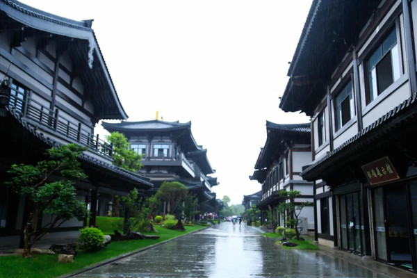 梅雨时节入龙游，不负此刻良辰美景