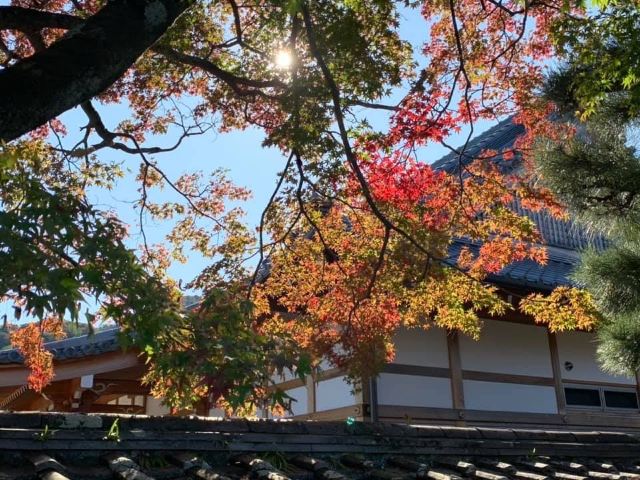 嵐山