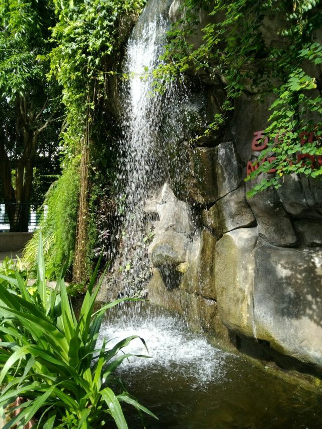 Kowloon Park