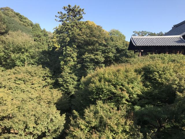 Tofukuji Temple