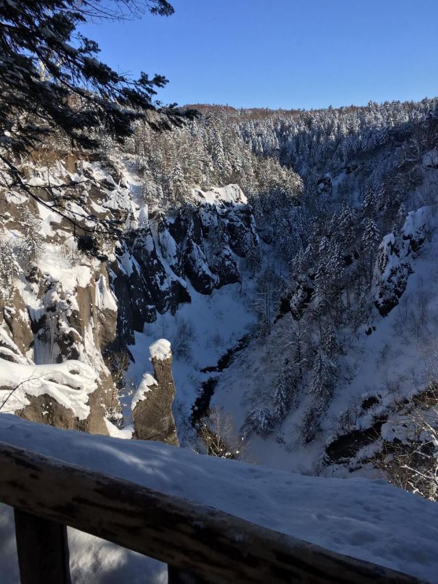 West Slope of Changbai Mountain Scenic Area