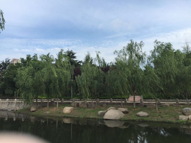 青岛市海泊河公园旅行图片 3