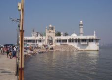 哈吉·阿里清真寺-孟买-湖绿紫