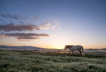 临夏回族自治州旅游图片-临夏+甘南+若尔盖等多地三日游