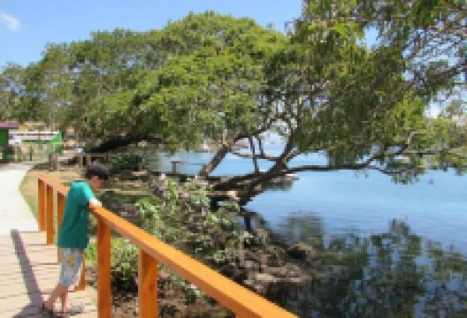 Surf And Turf美食图片