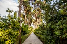 天堂花园-设拉子-doris圈圈