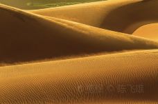 巴丹吉林沙漠-阿拉善右旗-doris圈圈