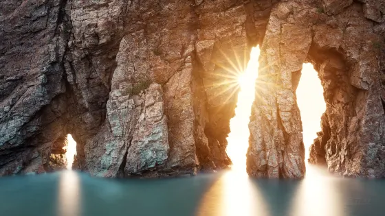 駱駝山海濱森林公園