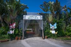 琉宫城蝴蝶园-本部町-doris圈圈