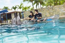 海哺栖息地-新加坡-傻桃子呦西