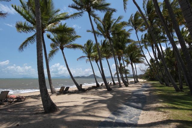 Palm Cove
