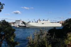 悉尼皇家植物园-悉尼-doris圈圈