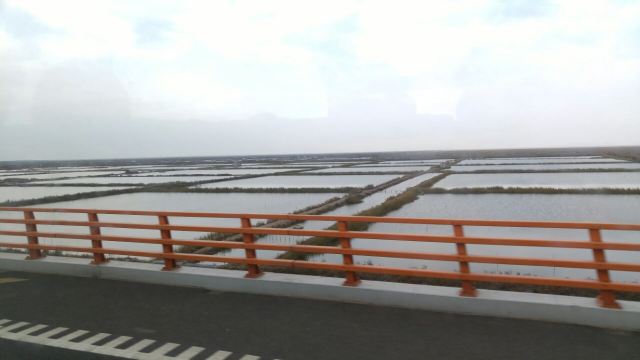 항저우만 대교