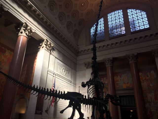 American Museum of Natural History