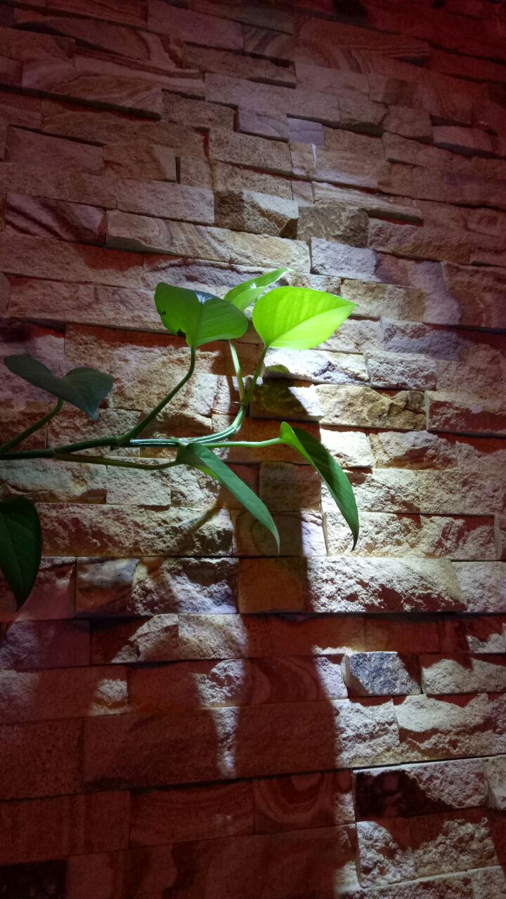 宏宾楼传统涮(名仕嘉园店)