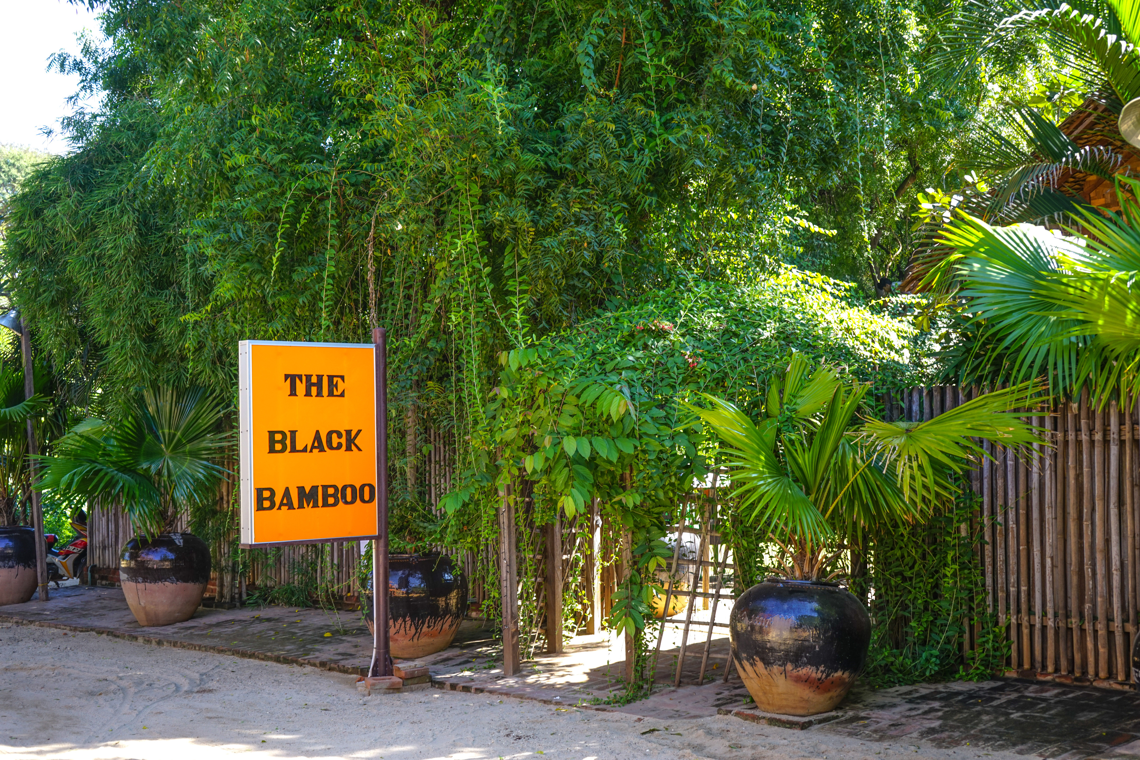 Black Bamboo 餐厅餐厅图片