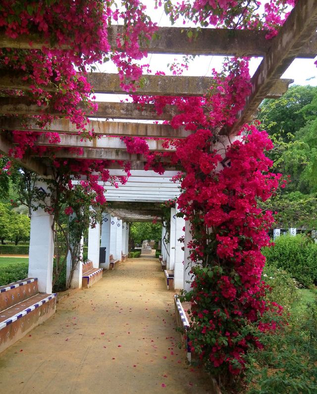 마리아 루이사 공원