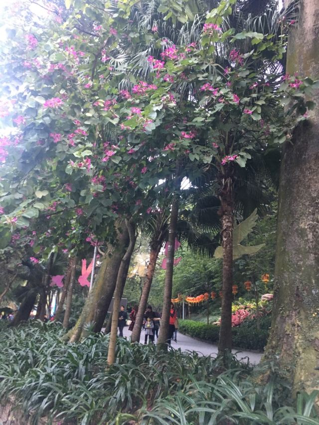 Yuexiu Park
