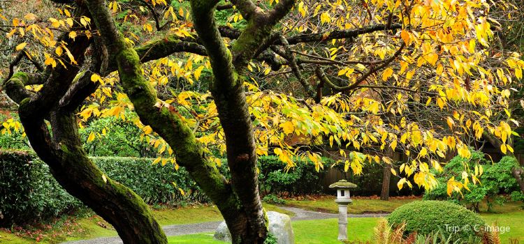 Nitobe Memorial Garden Travel Guidebook Must Visit Attractions In