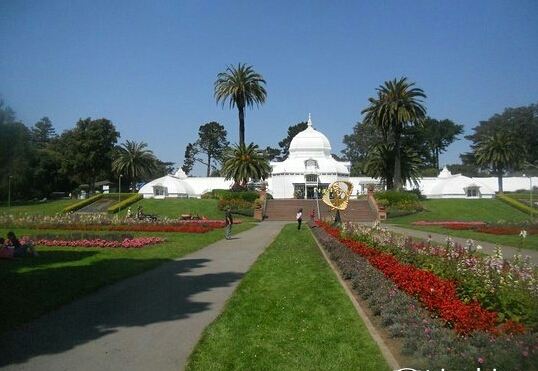 San Francisco Botanical Garden At Strybing Arboretum Attractions