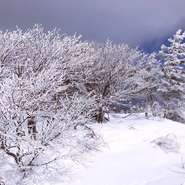 Jingisukan Shiro餐厅图片