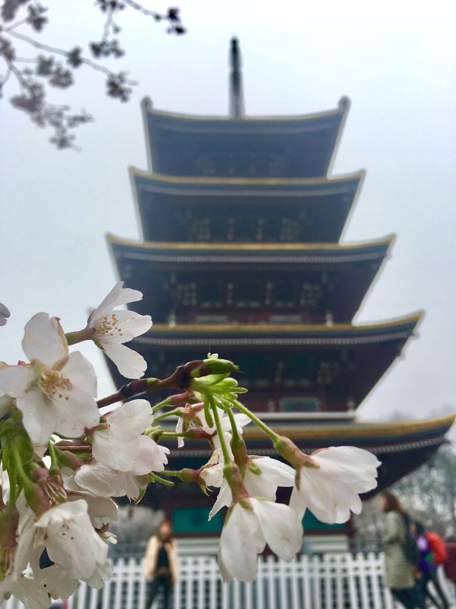 风雄楚荆