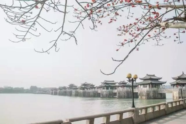 廣濟橋