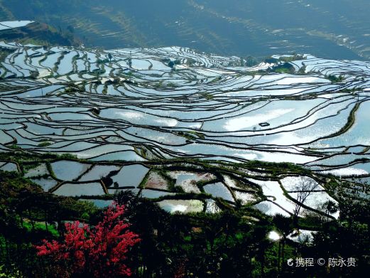 撒玛坝万亩梯田景区