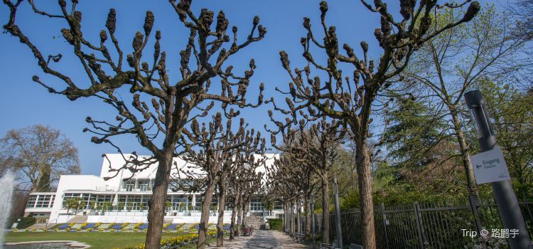 Palmengarten Travel Guidebook Must Visit Attractions In Frankfurt