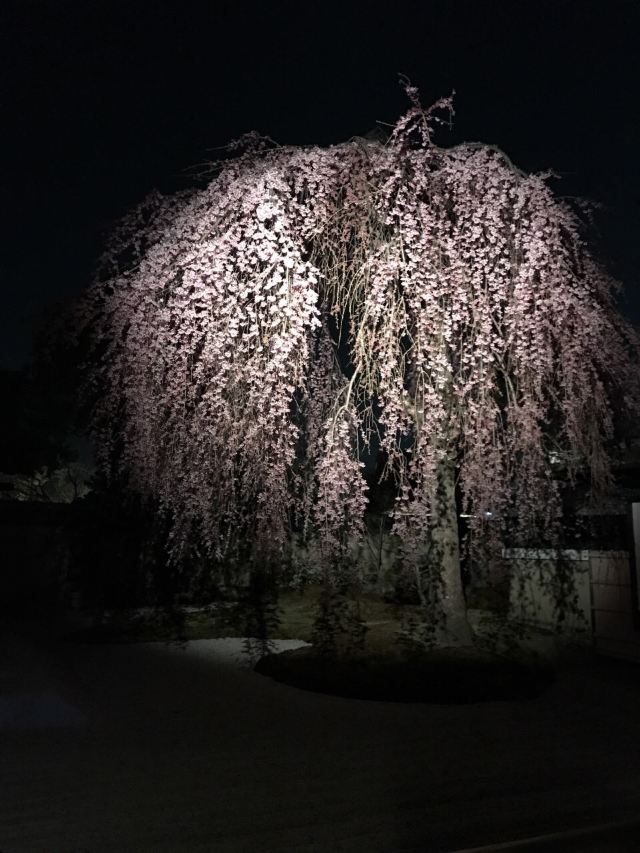高台寺