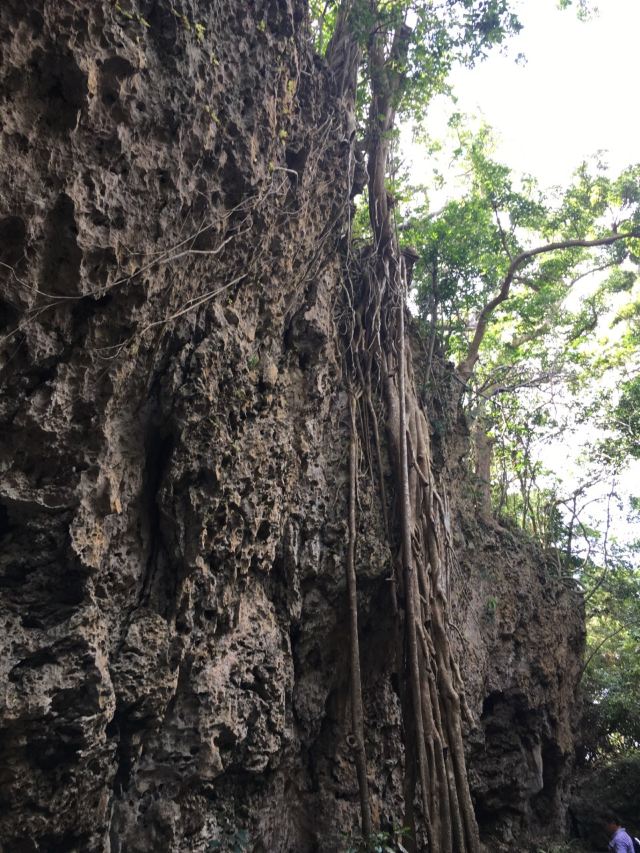 墾丁國家森林遊樂區
