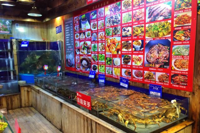 開海紅島海鮮蝦水餃(新湛路店)
