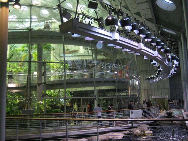 California Academy of Sciences