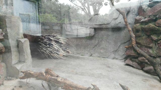 Chimelong Bird Park
