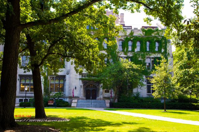 The University of Chicago