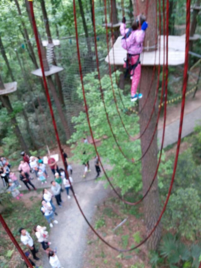Daqishan Crazy Forest Theme Park