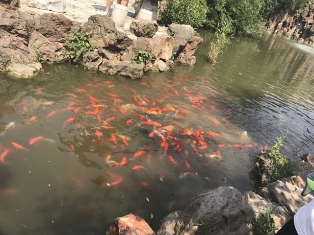 대명사