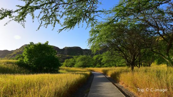 Diamond Head Summit Trail