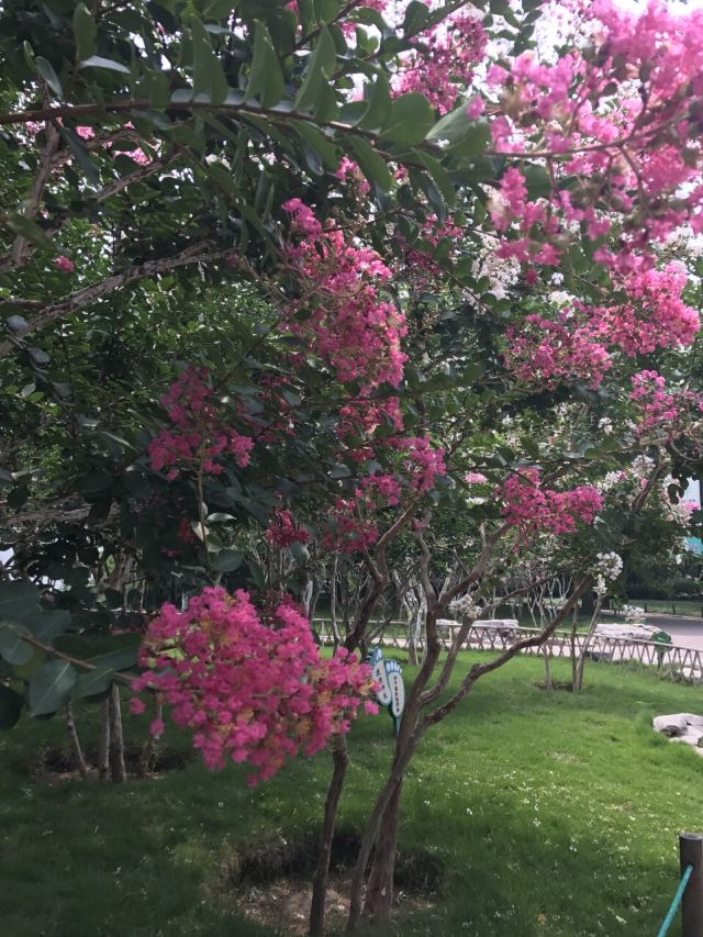 Baihua Park