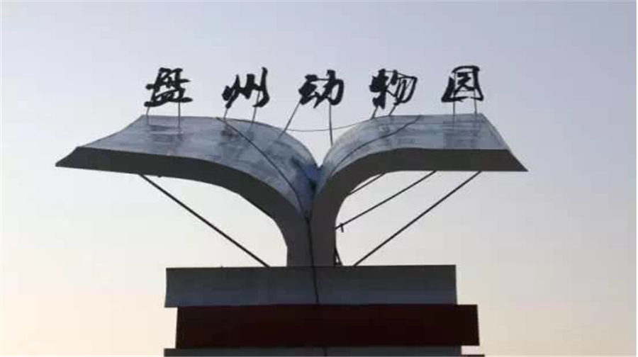 3-Day Panzhou Tour: Ten Mile Azalea and Bamboo Ocean, the grandeur of Wumeng Grasslands
