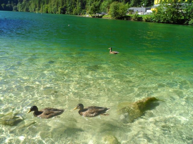 King's Lake (Königssee)