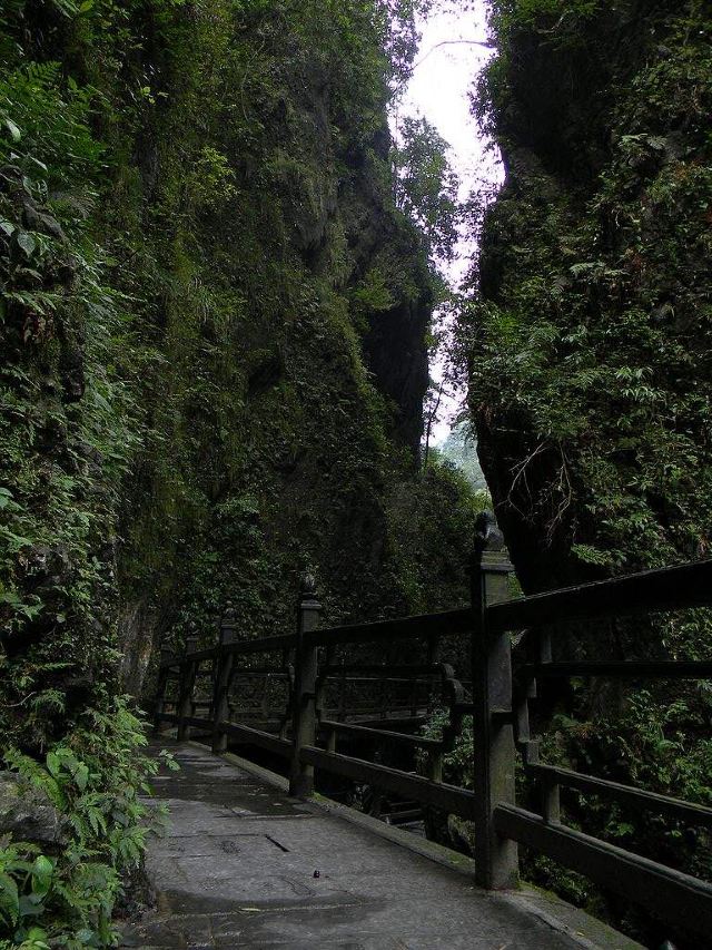 峨眉山九十九道拐攻略,峨眉山九十九道拐门票/游玩攻略/地址/图片