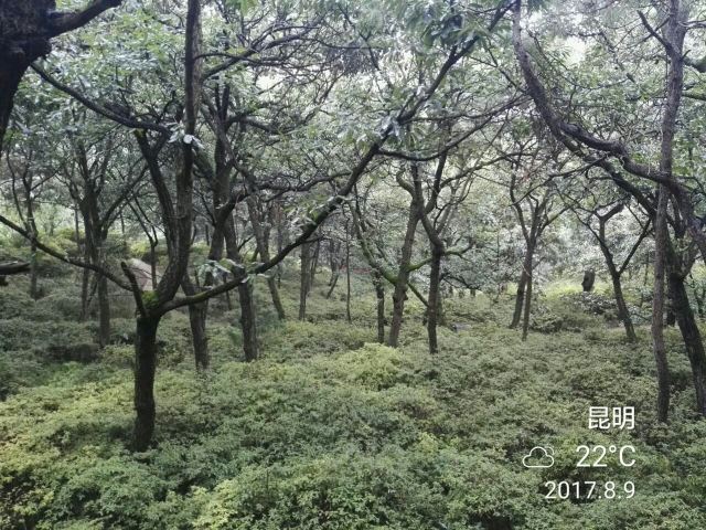 헤이룽탄 공원