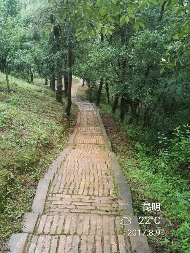 헤이룽탄 공원