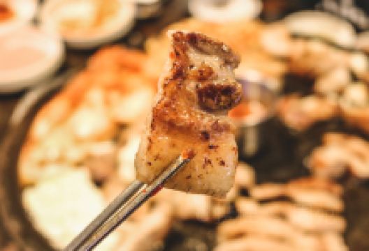 Dombe豚美食图片