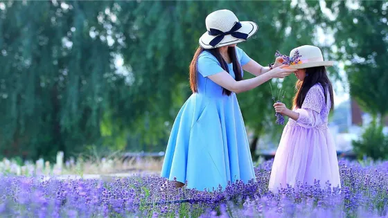 黃河少女薰衣草莊園