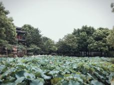 曾园赵园-常熟-YoYo_8F7A4K1J